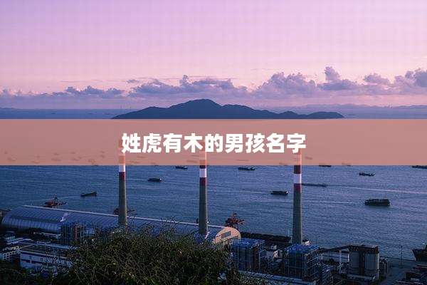 姓虎有木的男孩名字