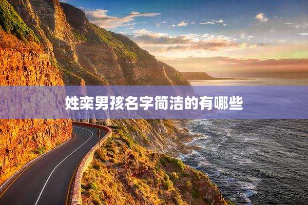姓栾男孩名字简洁的有哪些