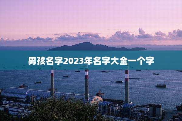 男孩名字2023年名字大全一个字