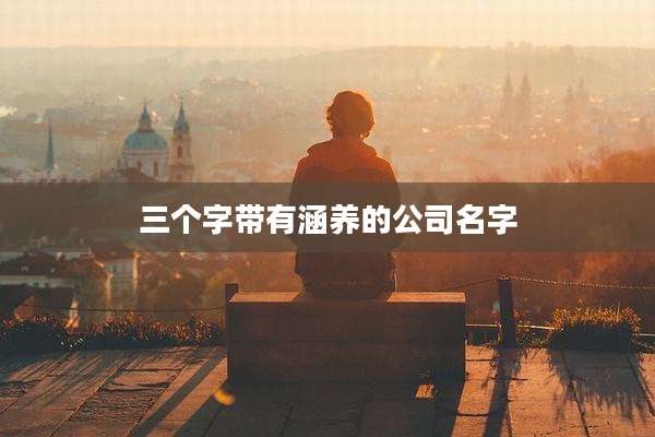 三个字带有涵养的公司名字
