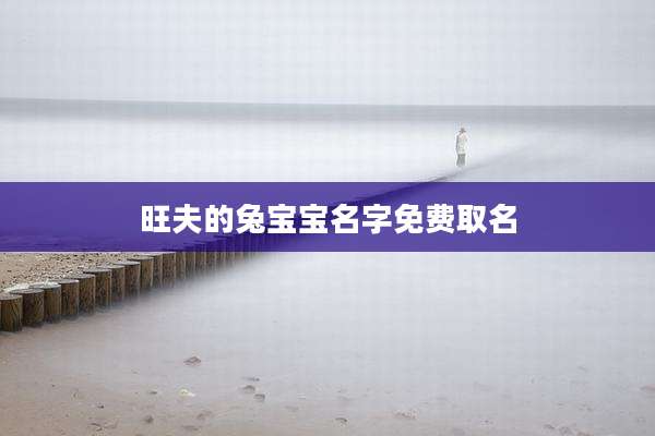 旺夫的兔宝宝名字免费取名