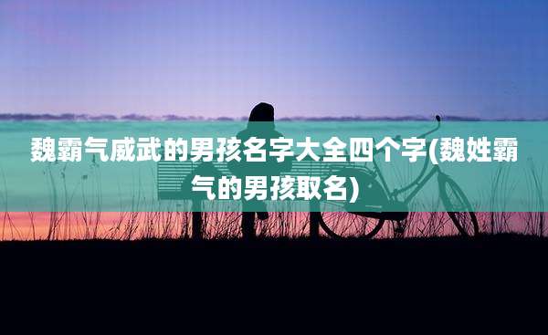 魏霸气威武的男孩名字大全四个字(魏姓霸气的男孩取名)