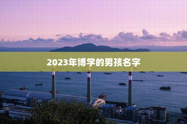 2023年博学的男孩名字