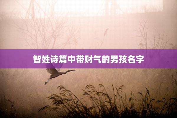智姓诗篇中带财气的男孩名字