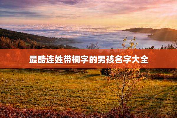 最酷连姓带桐字的男孩名字大全