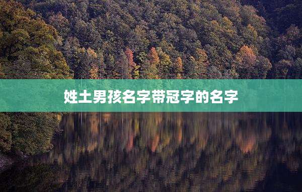 姓土男孩名字带冠字的名字