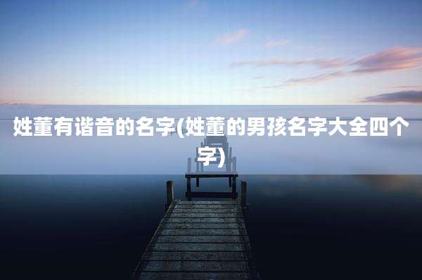 姓董有谐音的名字(姓董的男孩名字大全四个字)