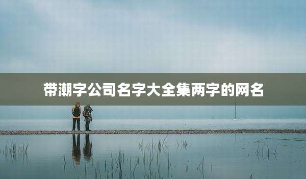 带潮字公司名字大全集两字的网名