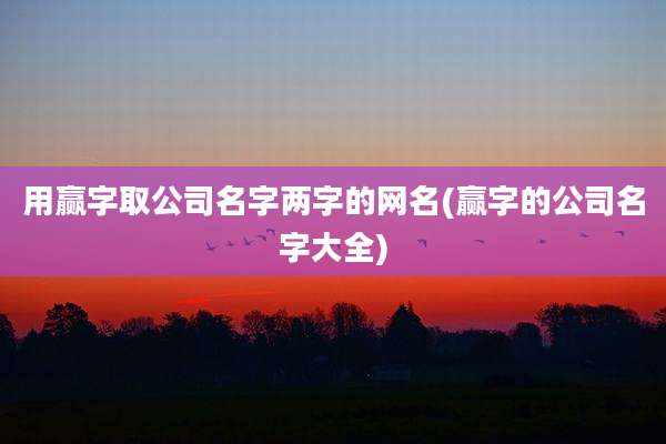 用赢字取公司名字两字的网名(赢字的公司名字大全)
