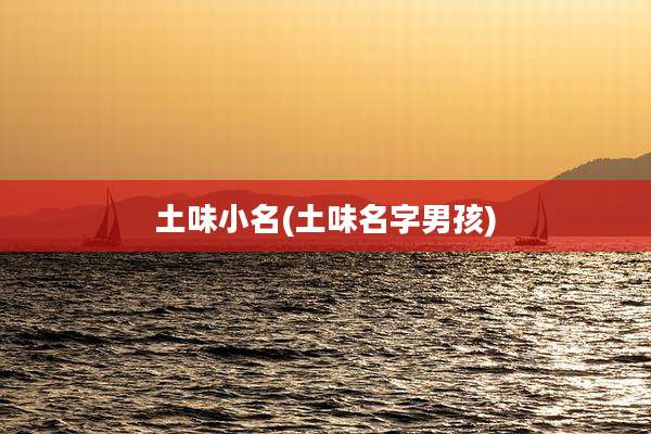 土味小名(土味名字男孩)