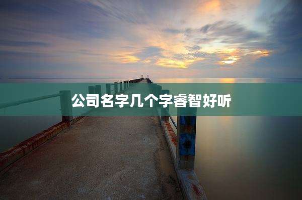 公司名字几个字睿智好听
