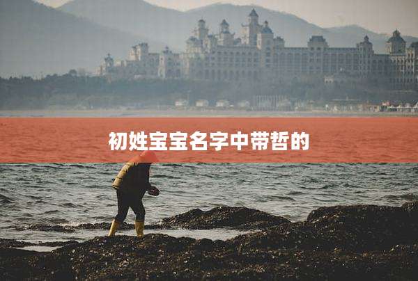 初姓宝宝名字中带哲的
