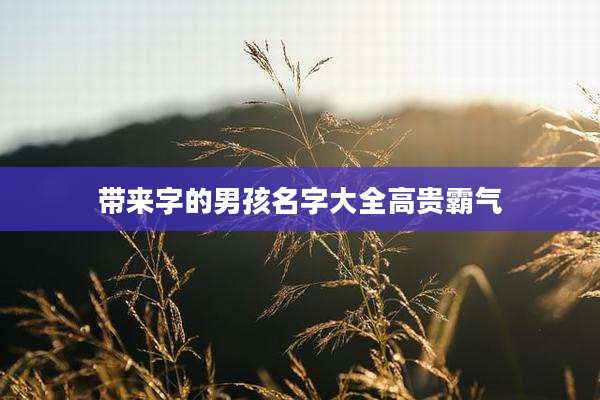 带来字的男孩名字大全高贵霸气