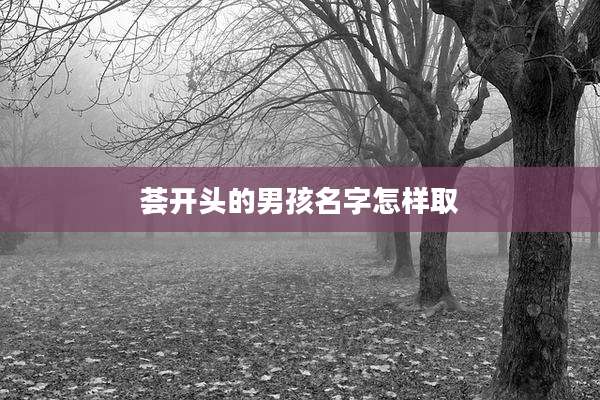 荟开头的男孩名字怎样取