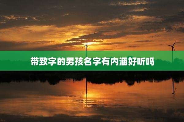 带致字的男孩名字有内涵好听吗