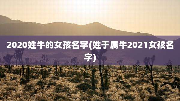 2020姓牛的女孩名字(姓于属牛2021女孩名字)