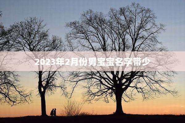 2023年2月份男宝宝名字带少