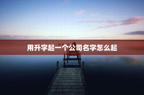 用升字起一个公司名字怎么起