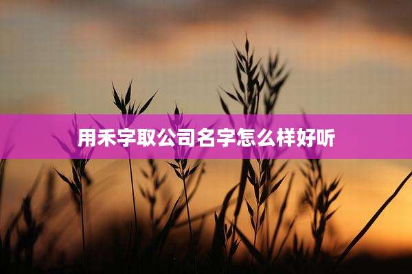 用禾字取公司名字怎么样好听