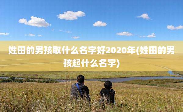 姓田的男孩取什么名字好2020年(姓田的男孩起什么名字)