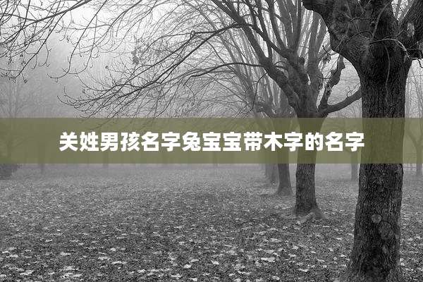关姓男孩名字兔宝宝带木字的名字