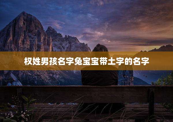 权姓男孩名字兔宝宝带土字的名字