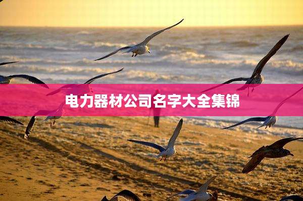 电力器材公司名字大全集锦