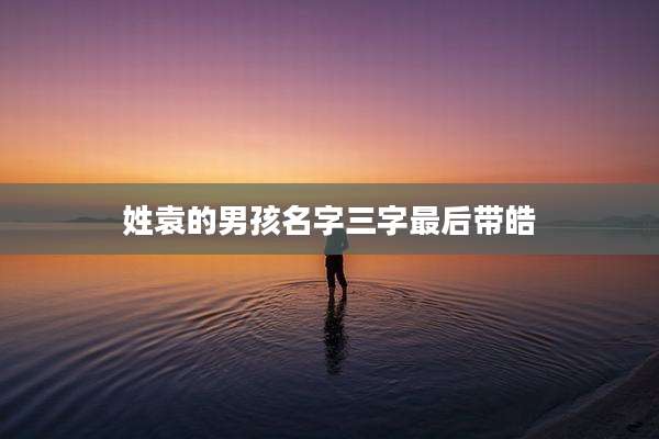 姓袁的男孩名字三字最后带皓