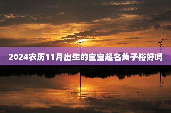 2024农历11月出生的宝宝起名黄子裕好吗