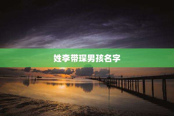 姓李带琛男孩名字