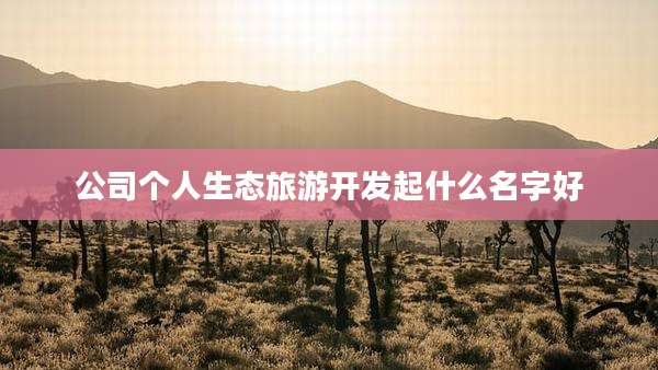 公司个人生态旅游开发起什么名字好