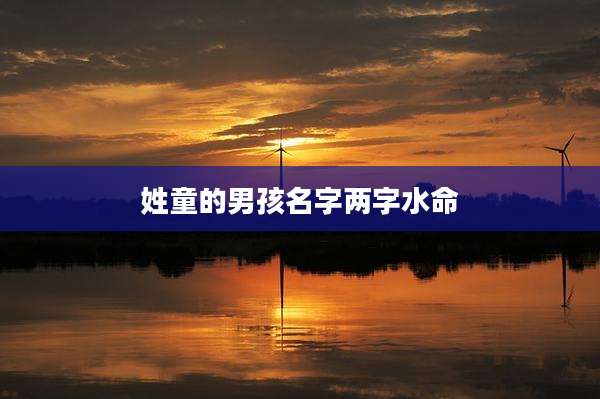 姓童的男孩名字两字水命