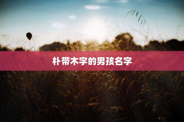 朴带木字的男孩名字