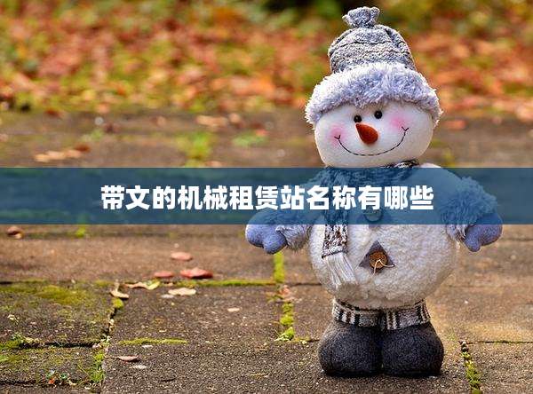 带文的机械租赁站名称有哪些