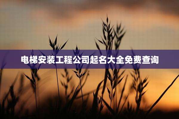 电梯安装工程公司起名大全免费查询