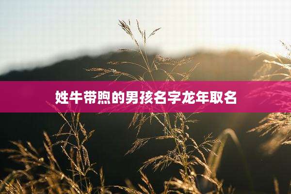 姓牛带煦的男孩名字龙年取名