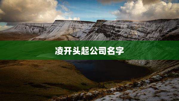 凌开头起公司名字