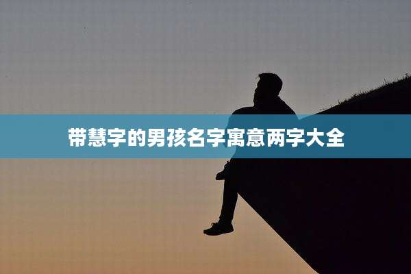 带慧字的男孩名字寓意两字大全