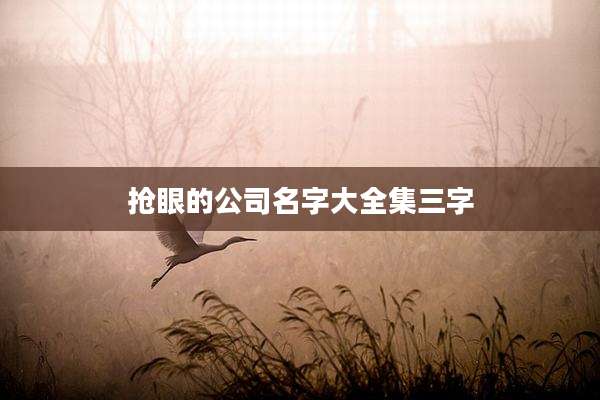 抢眼的公司名字大全集三字