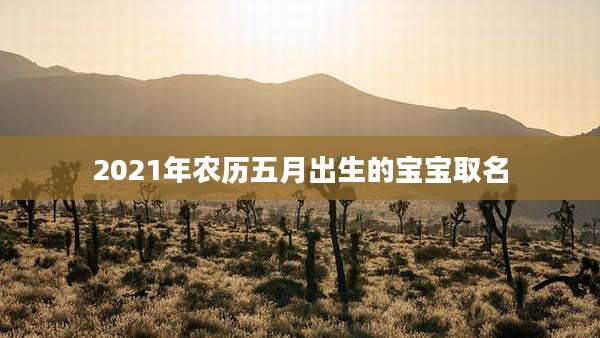 2021年农历五月出生的宝宝取名