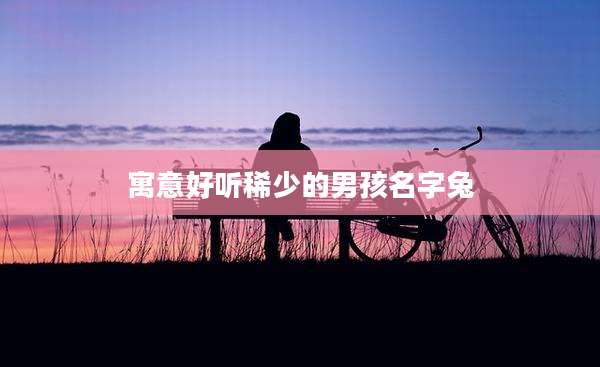 寓意好听稀少的男孩名字兔