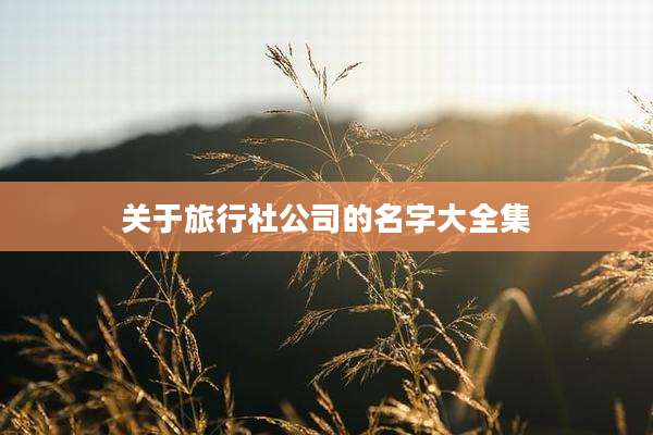 关于旅行社公司的名字大全集