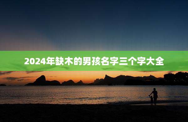 2024年缺木的男孩名字三个字大全