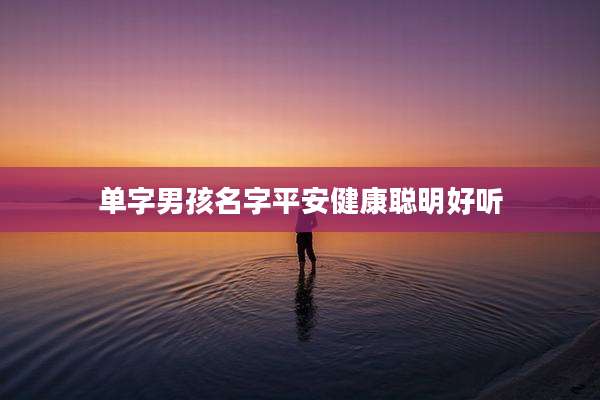 单字男孩名字平安健康聪明好听