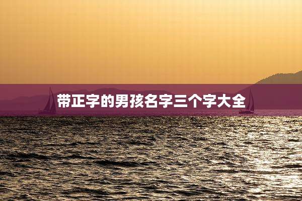 带正字的男孩名字三个字大全