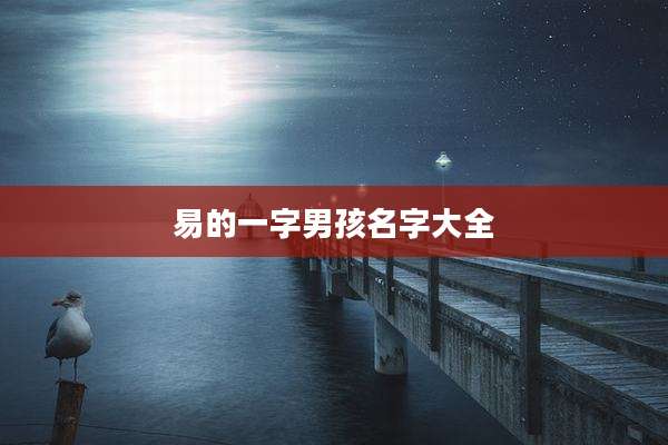 易的一字男孩名字大全