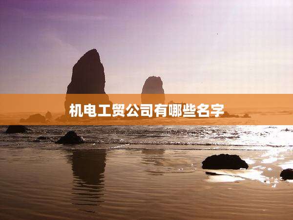 机电工贸公司有哪些名字