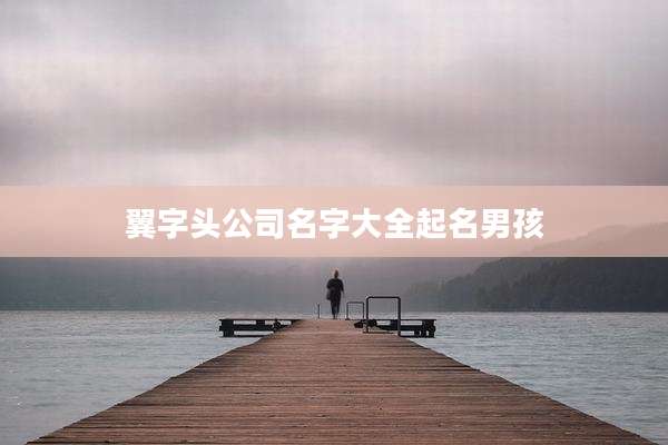 翼字头公司名字大全起名男孩