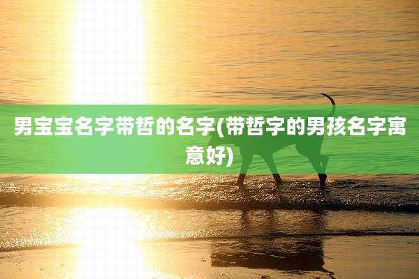男宝宝名字带哲的名字(带哲字的男孩名字寓意好)
