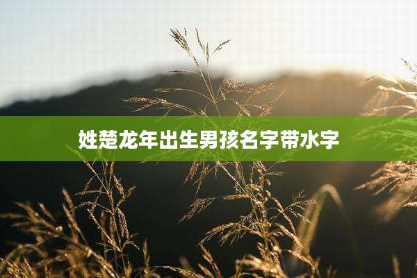 姓楚龙年出生男孩名字带水字